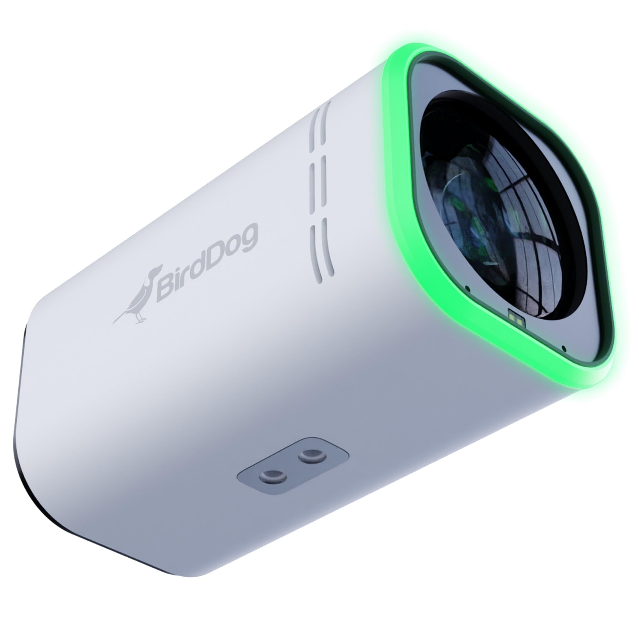 Amazon.com : BirdDog Maki Ultra 4K 12x Zoom Box Camera, White